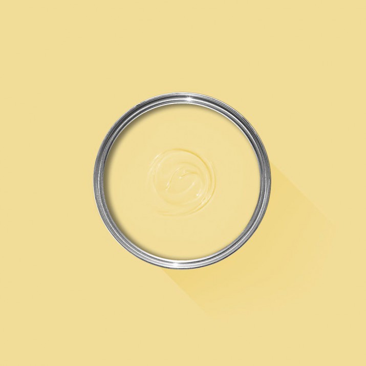 Farrow & Ball - Dayroom Yellow - No.233