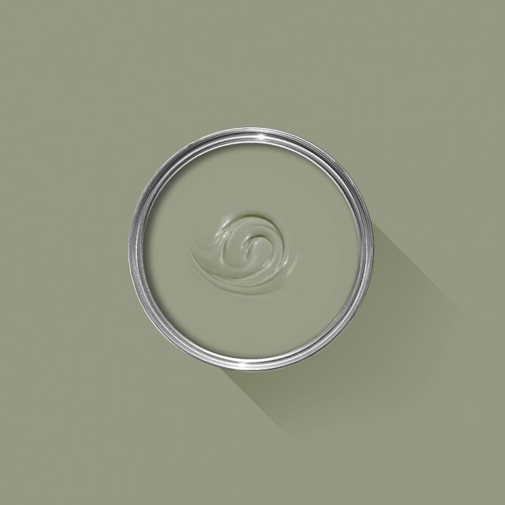 Farrow & Ball - Lichen - No.19