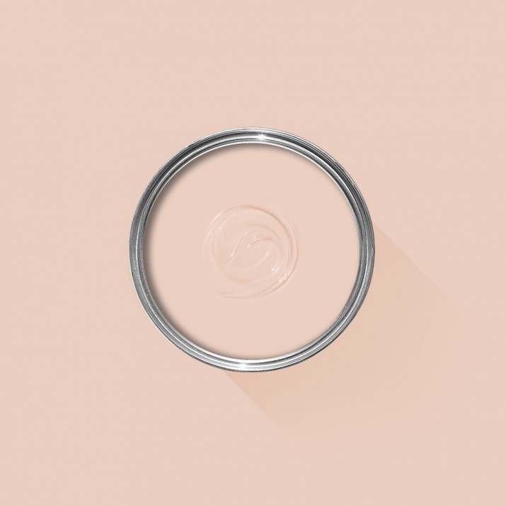 Farrow & Ball - Pink Ground - No.202