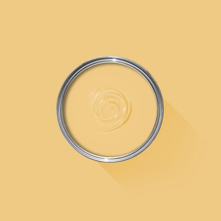 Farrow & Ball - Yellow Ground - No.218