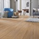 Kronotex Parquet Stratifié Robusto - Chêne Premium D4954 - 1375 x 188 x 12 mm
