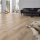 Kronotex Parquet Stratifié Mammut Plus - Chêne Macro Beige D3669 - 1845 x 244 x 10 mm