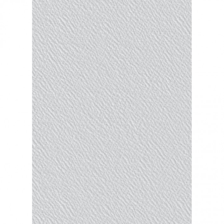 Toile de verre S30 crépis 165g/m² - 50 m x 1 m