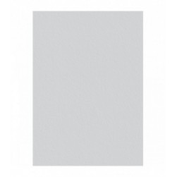 Toile de verre P50 voile Préencollée 220g/m² - 50 m x 1 m