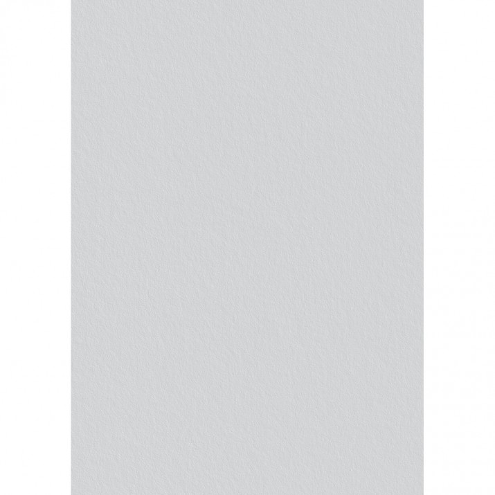Toile de verre P50 voile Préencollée 220g/m² - 50 m x 1 m