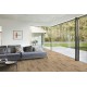 Berry Alloc Lames Vinyles Spirit Pro Click Comfort 55 - Country Caramel - réf. 60001436 - 1511 x 228 x 5,5 mm