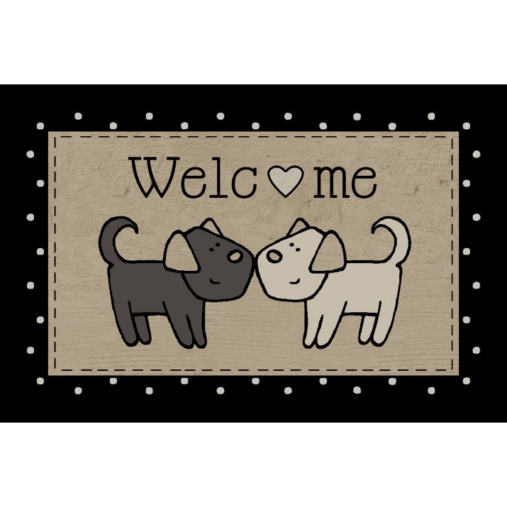 Tapis Intérieur Anti Dérapant et Absorbant Pets 40x60cm