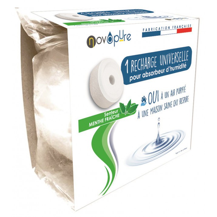Recharge galet pour absorbeur d'humidité 500g x1 Menthe