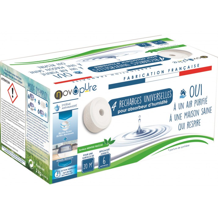 Recharge galet pour absorbeur d'humidité 500g x4 Menthe