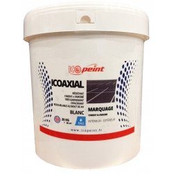 Icopeint Icoaxial Peinture Marquage Ciment et Enrobé - Intérieur et Extérieur 25kg
