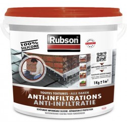 Revêtement d'étanchéité anti-infiltrations toutes toitures 1kg