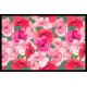 Tapis Intérieur Anti Dérapant et Absorbant Bego 50x75cm