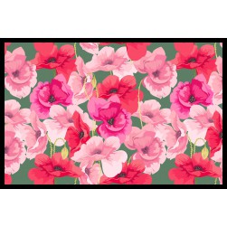 Tapis Intérieur Anti Dérapant et Absorbant Bego 50x75cm