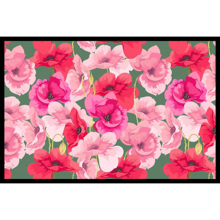 Tapis Intérieur Anti Dérapant et Absorbant Bego 50x75cm