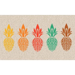 Tapis Intérieur Anti Dérapant et Absorbant Piton 45x75cm
