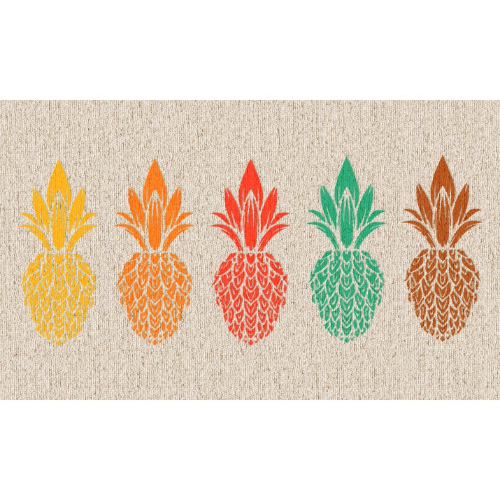 Tapis Intérieur Anti Dérapant et Absorbant Piton 45x75cm
