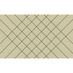 Tapis Intérieur Anti Dérapant et Absorbant Zebra 45x75cm