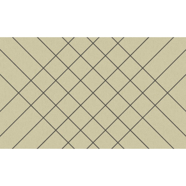 Tapis Intérieur Anti Dérapant et Absorbant Zebra 45x75cm