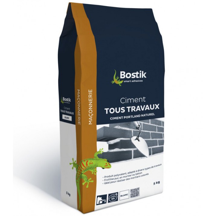 Bostik Ciment tous travaux 5kg