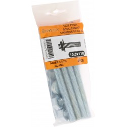 Lot de 4 tiges pour Scellement chimique 10x110