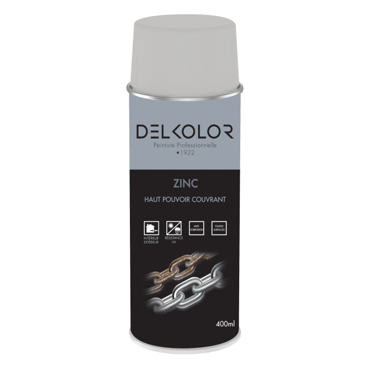 Delkolor Peinture Spéciale Zinc en Aérosol - 400ml