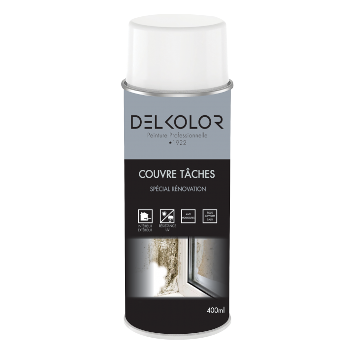 Delkolor Peinture Couvre Taches Spécial Rénovation en Aérosol - 400ml