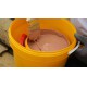 Sika Peinture Imperméable anti-fuites Toitures inclinées 1L