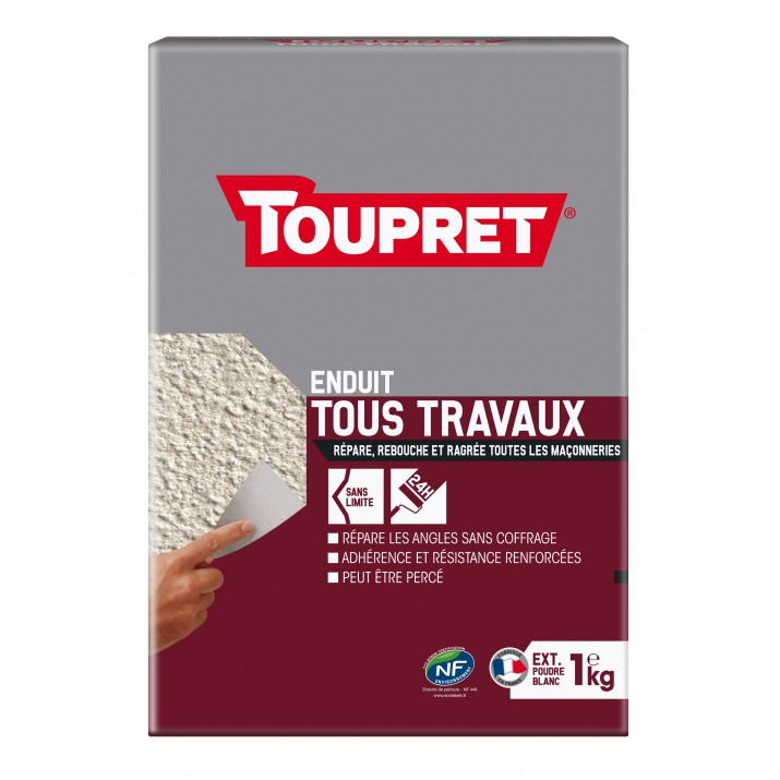 Toupret Tous travaux poudre 3 en 1 extérieur 1 kg
