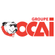 OCAI